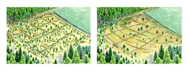 Piirros: Jari Kostet Turhaan ojitettu suo ja ennallistettu suo. Akvarelli 62x23cm300ppi. © Jari Kostet 2014.