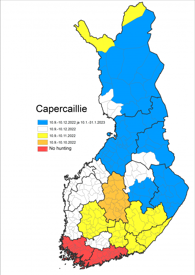 capercaillie-suomen-riistakeskus