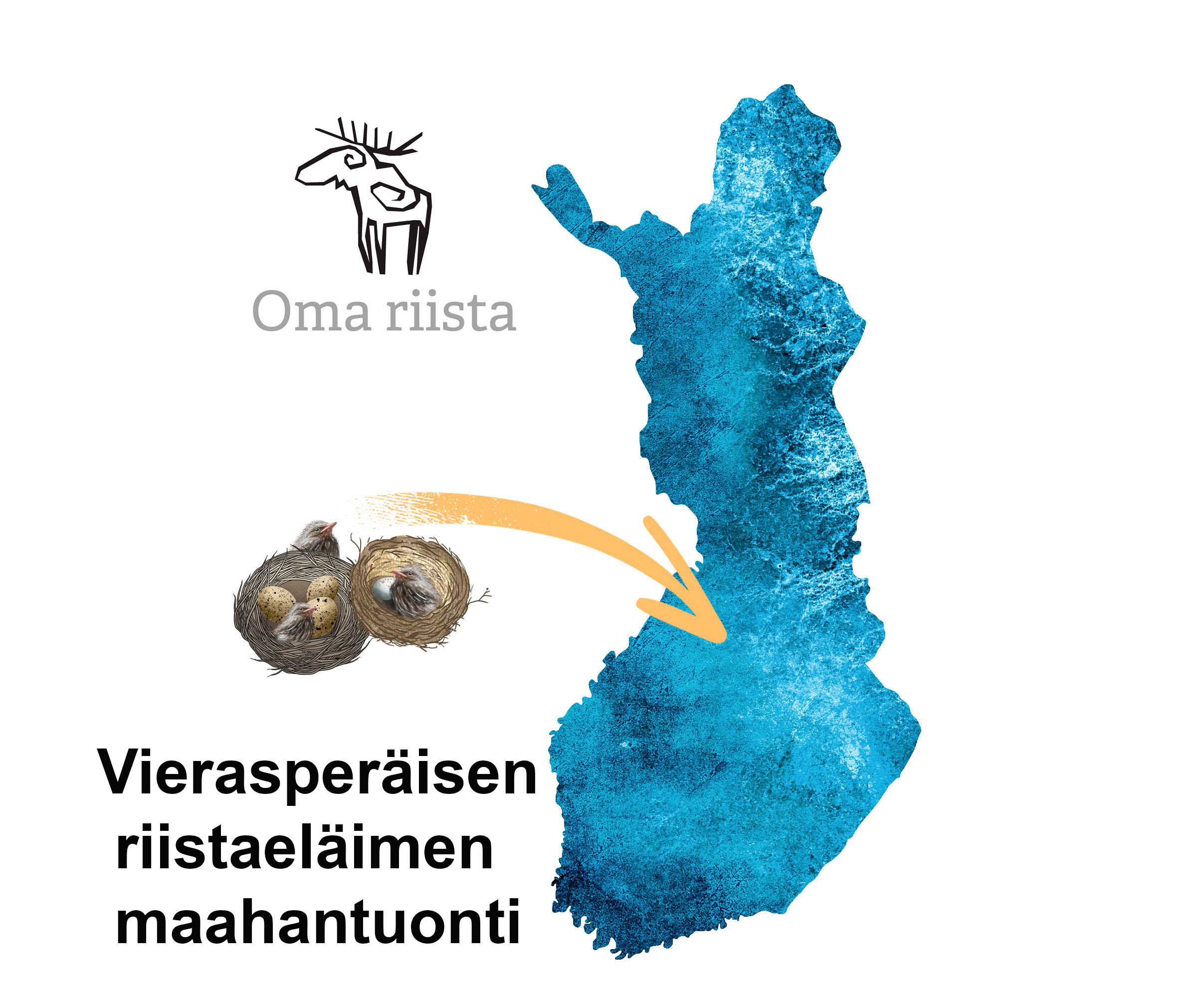 Piirros linnunpesistä, joista lähtee nuoli kohti Suomen karttaa. Vieressä Oma riista -logo ja teksti "Vierasperäisen riistaeläimen maahantuonti".