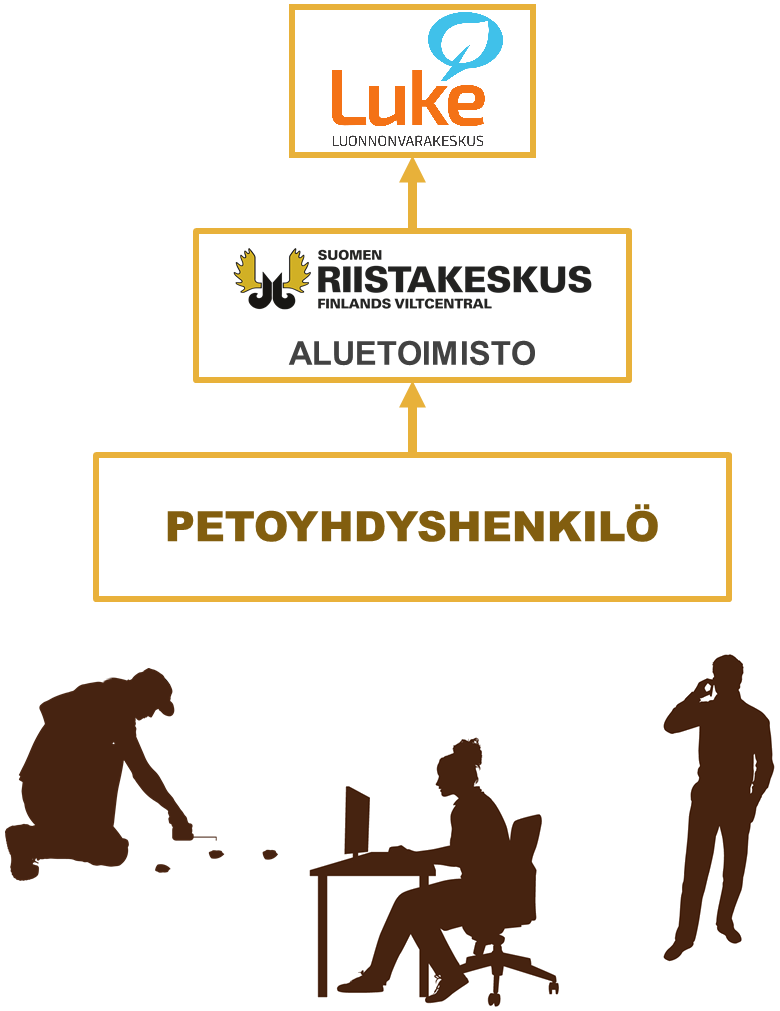 Kaaviokuva, jossa näkyy Luken, riistakeskuksen ja petoyhdyshenkilöiden väliset suhteet