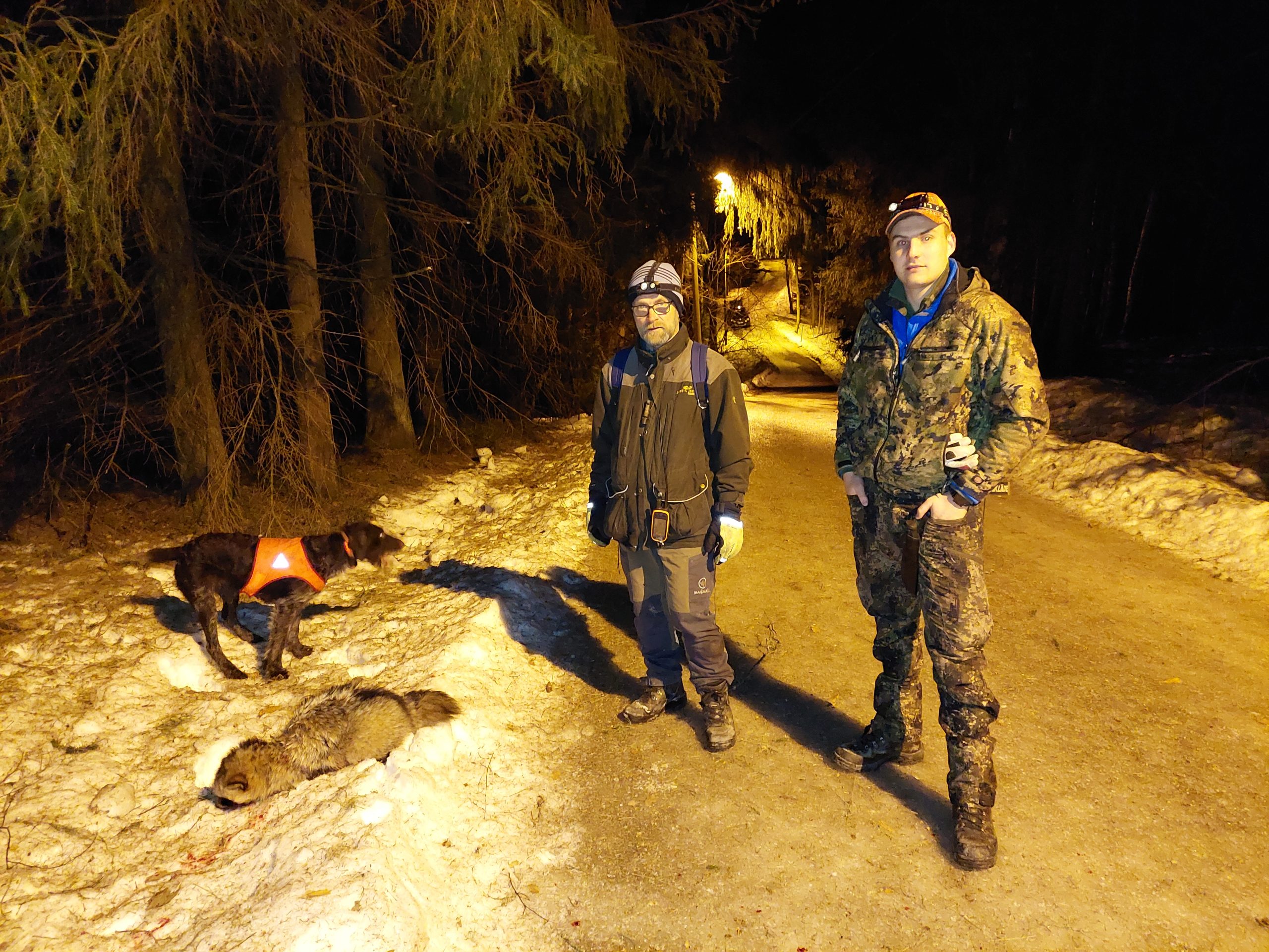Kaksi metsästäjää seisoo ulkoilureitillä, jonka vieressä lumisessa metsänreunassa koira ja kuollut supikoira. 
