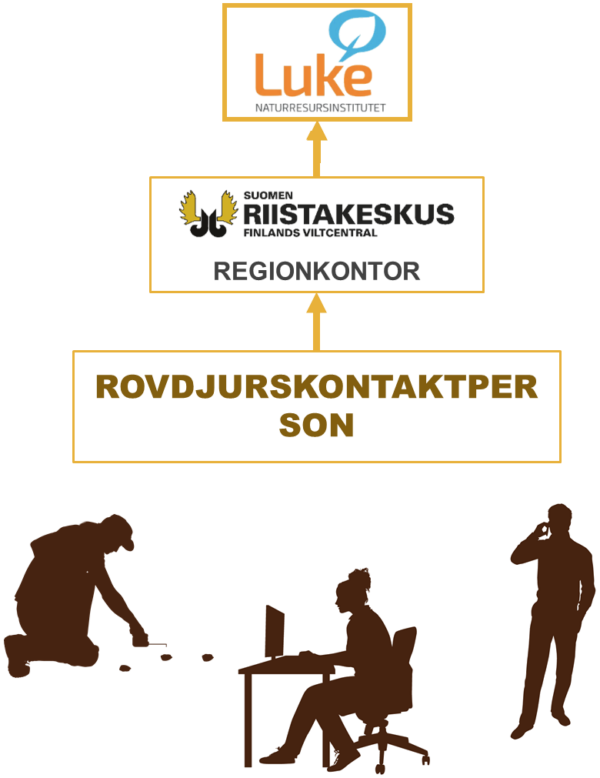 Diagram som visar relationerna mellan Luke, Finlands viltcentral och rovdjurskontaktpersonerna