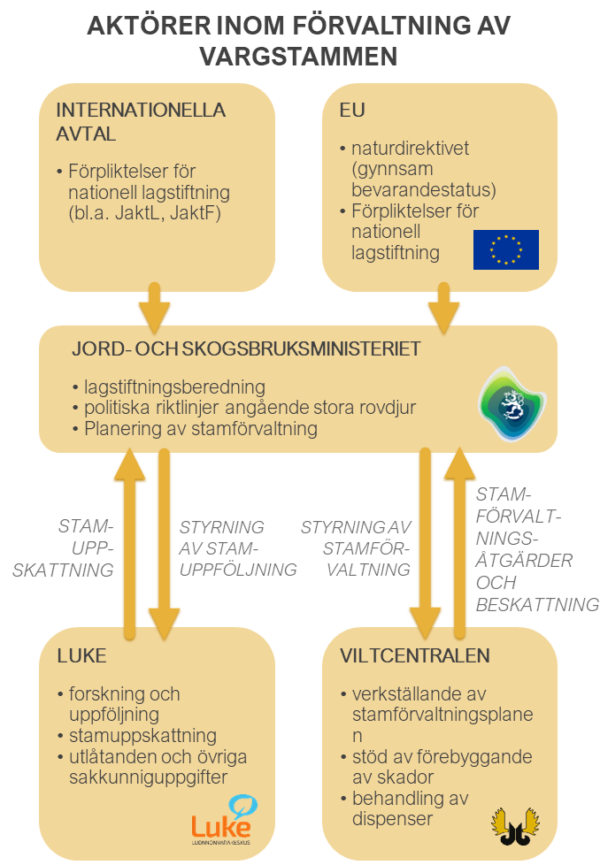 Diagram som presenterar de olika aktörernas roller