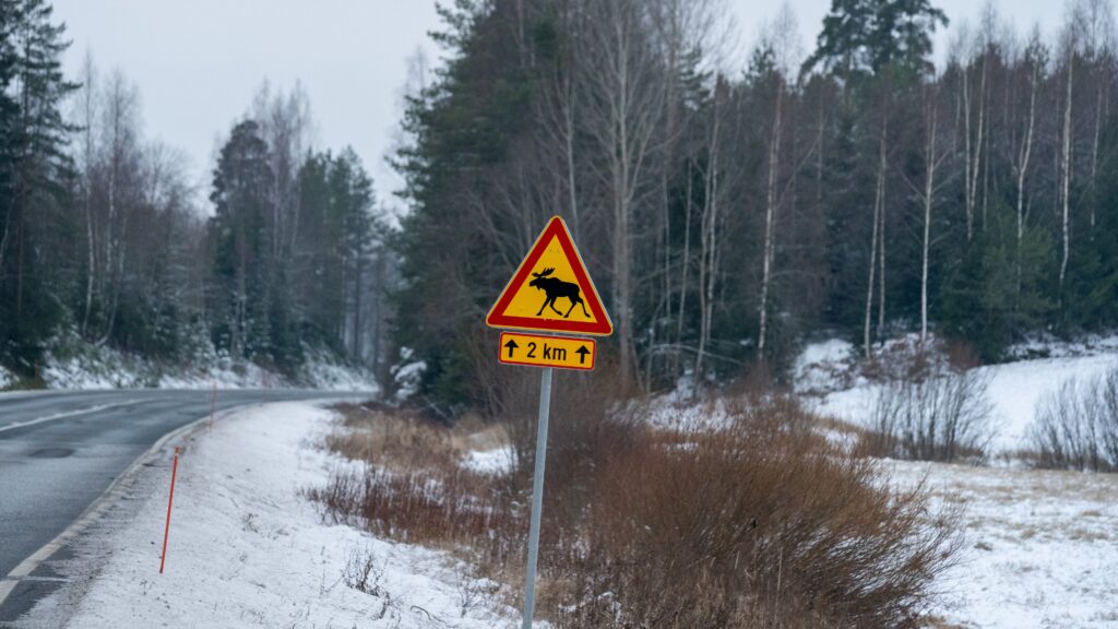 Hirvivaroitusmerkki tien varressa.