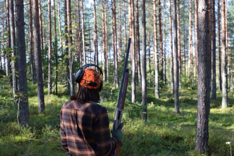 Metsäkanalinnustus alkaa – metsästysaikoja rajoitetaan lintukannan kehityksen mukaan