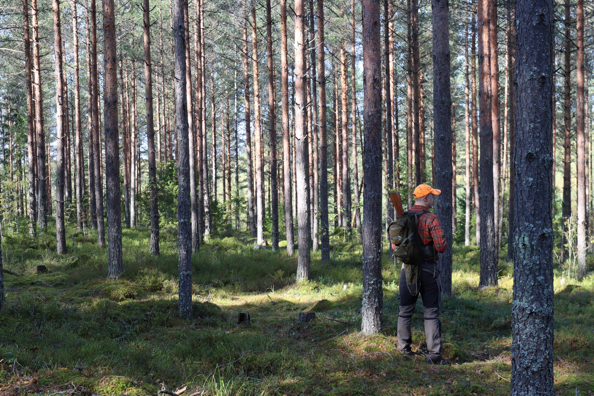 Mies metsässä